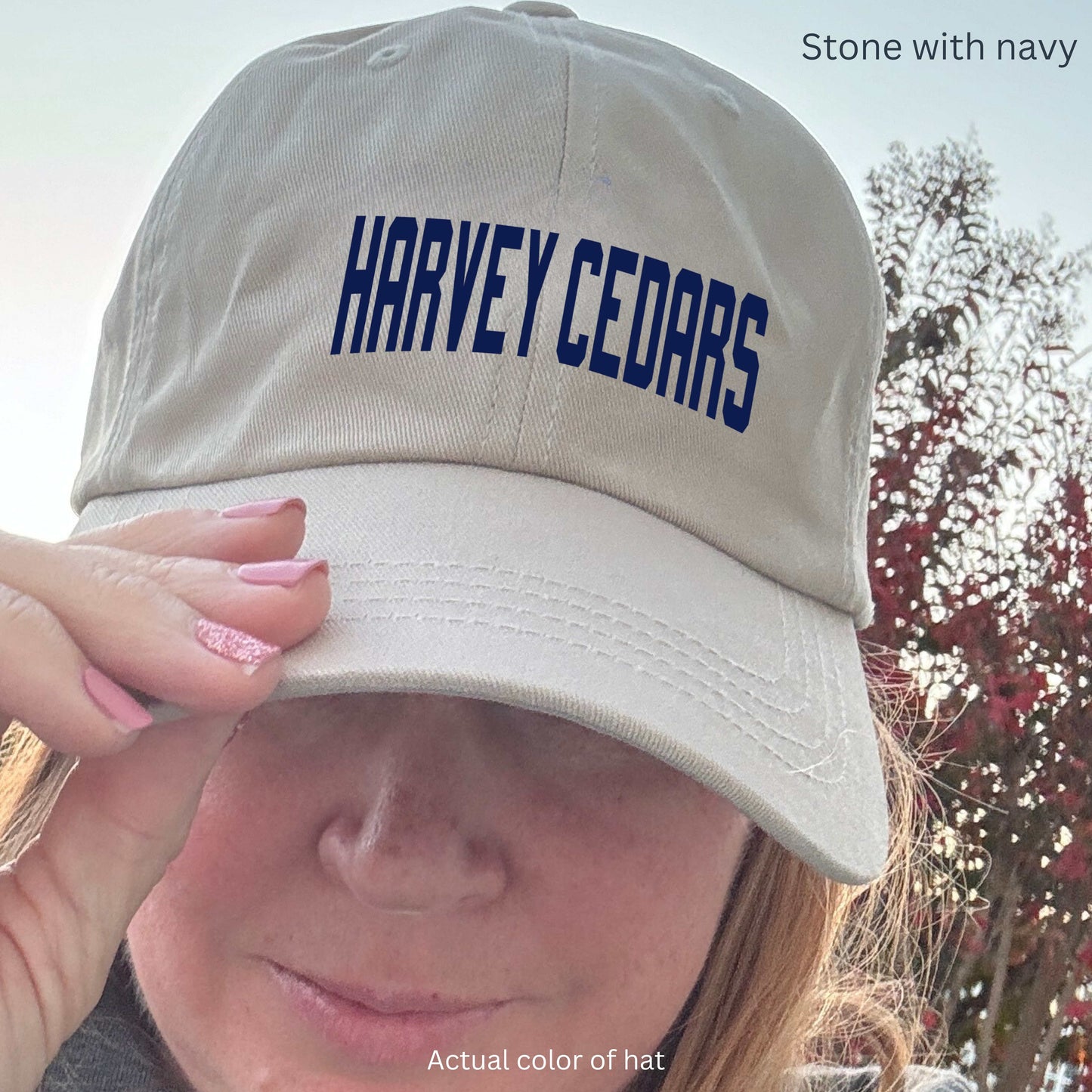 Timeless Dad hat - Harvey Cedars