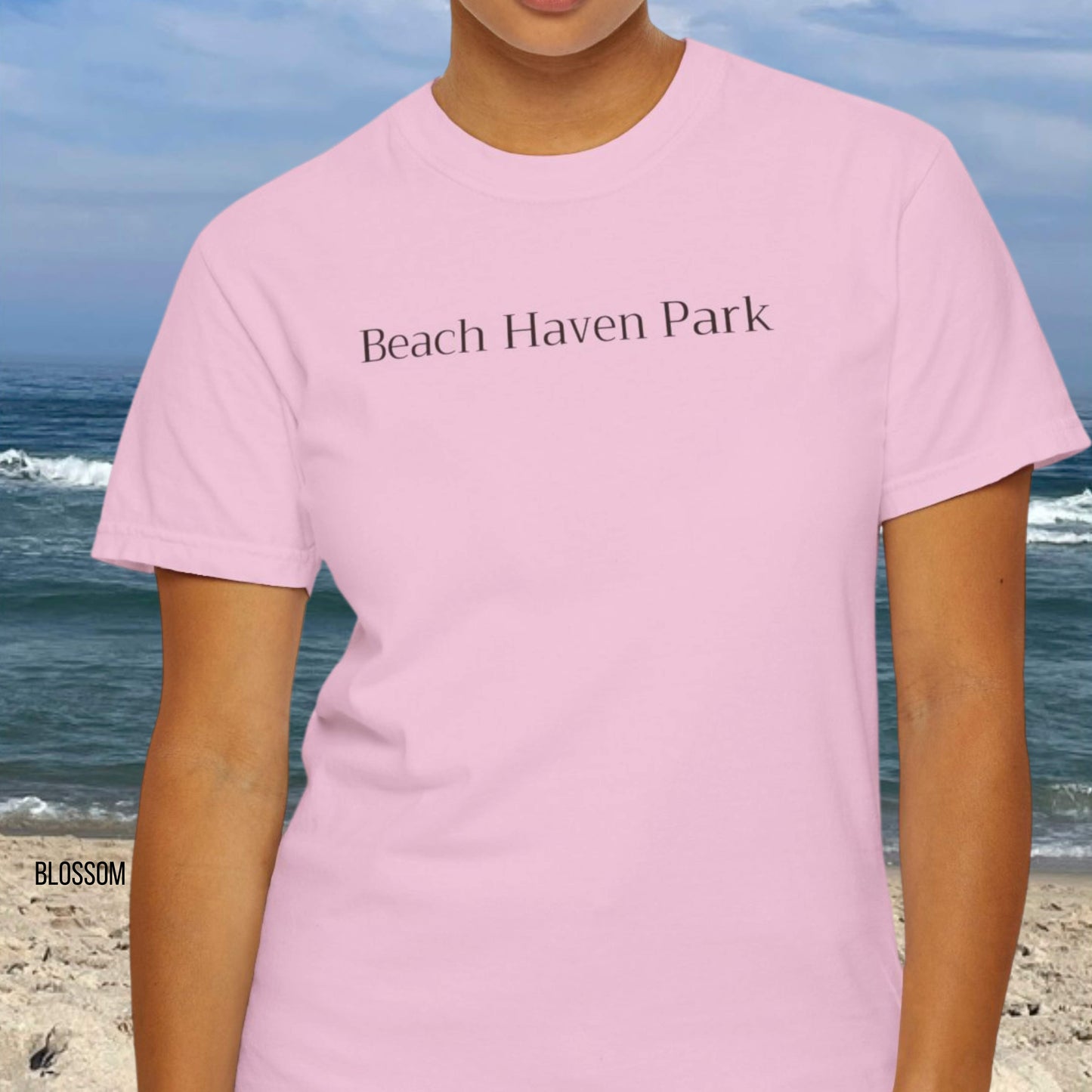 Driftwood, Beach Haven Park, Comfort Colors shirt