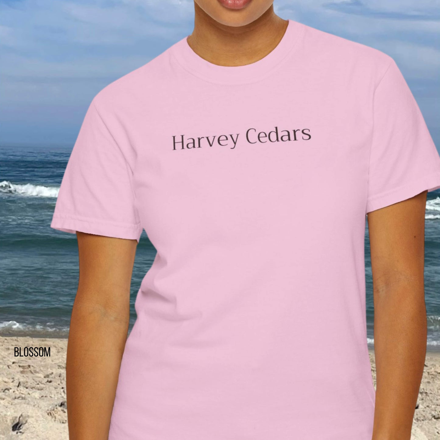 Driftwood, Harvey Cedars, Comfort Colors shirt