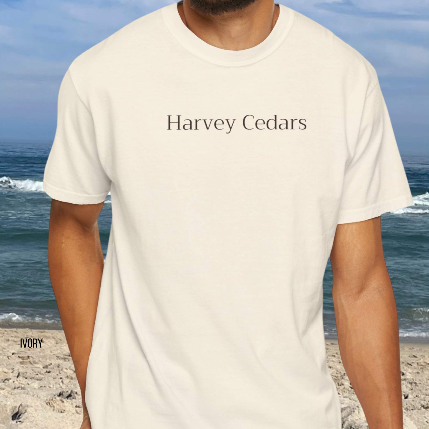 Driftwood, Harvey Cedars, Comfort Colors shirt